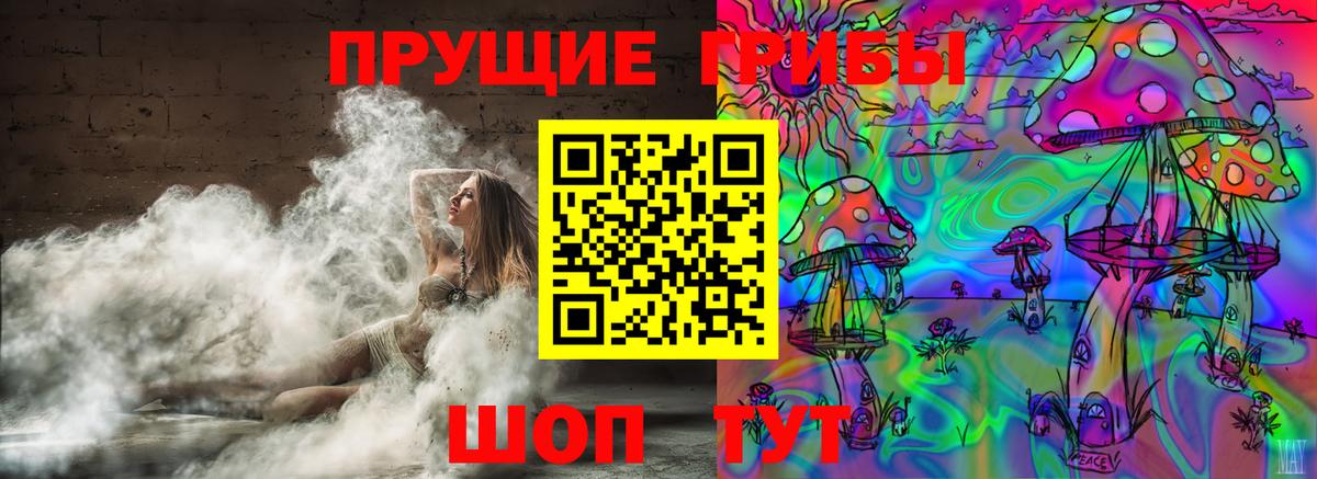Галлюциногенные грибы ЛСД Балтийск