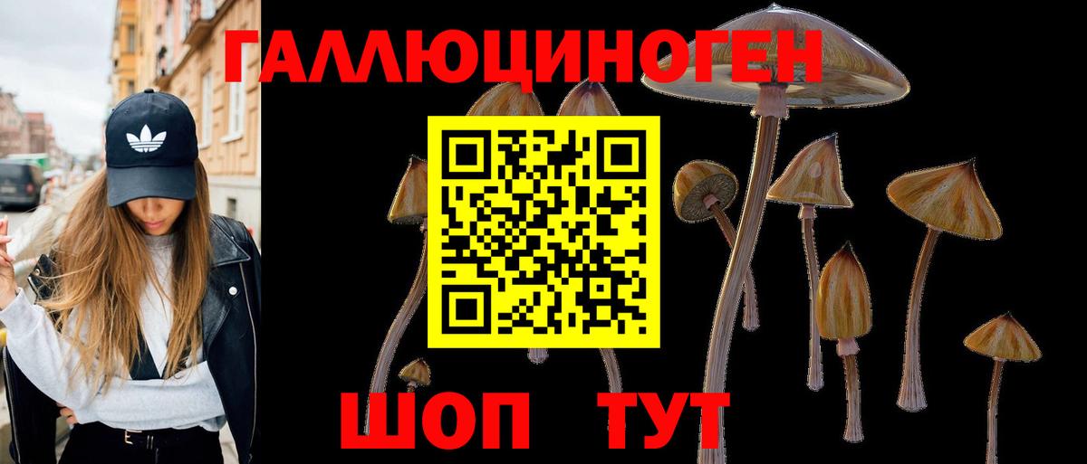 Конопля Балтийск