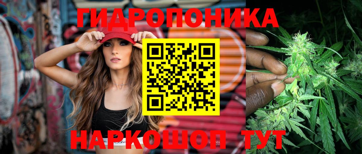 Каннабис гибрид Балтийск